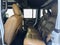 2022 Jeep Wrangler Sahara