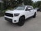 2021 Toyota Tundra TRD Pro