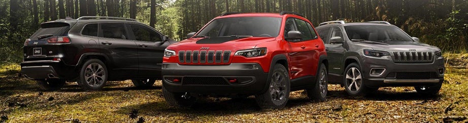 CHOOSE YOUR ADVENTURE