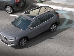 PARALLEL AND PERPENDICULAR PARK AND EXIT ASSIST SYSTEM WITH FULL STOP