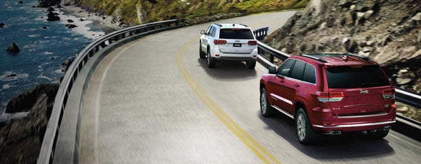 OBSESSIVELY OBSERVANT