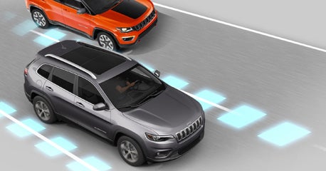 LANESENSE<sup>®</sup> LANE DEPARTURE WARNING SYSTEM