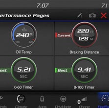 PERFORMANCE PAGES